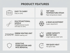 High Pressure Steam Cleaner